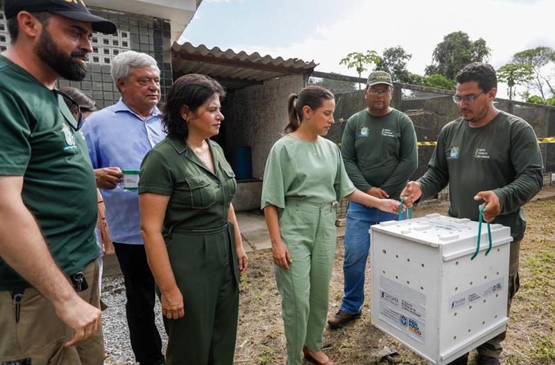 Governo de Pernambuco destina R$ 1,5 milhão para centro de reabilitação de animais silvestres