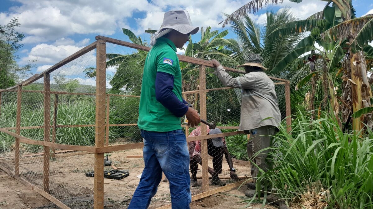 Projeto fomenta implantação de sistemas agroecológicos em comunidade quilombola de Serra Talhada