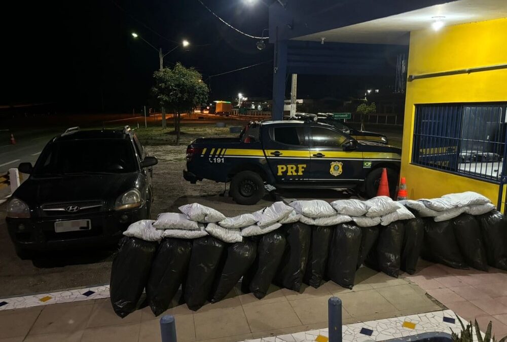 PRF apreende 250kg de maconha em Sertânia