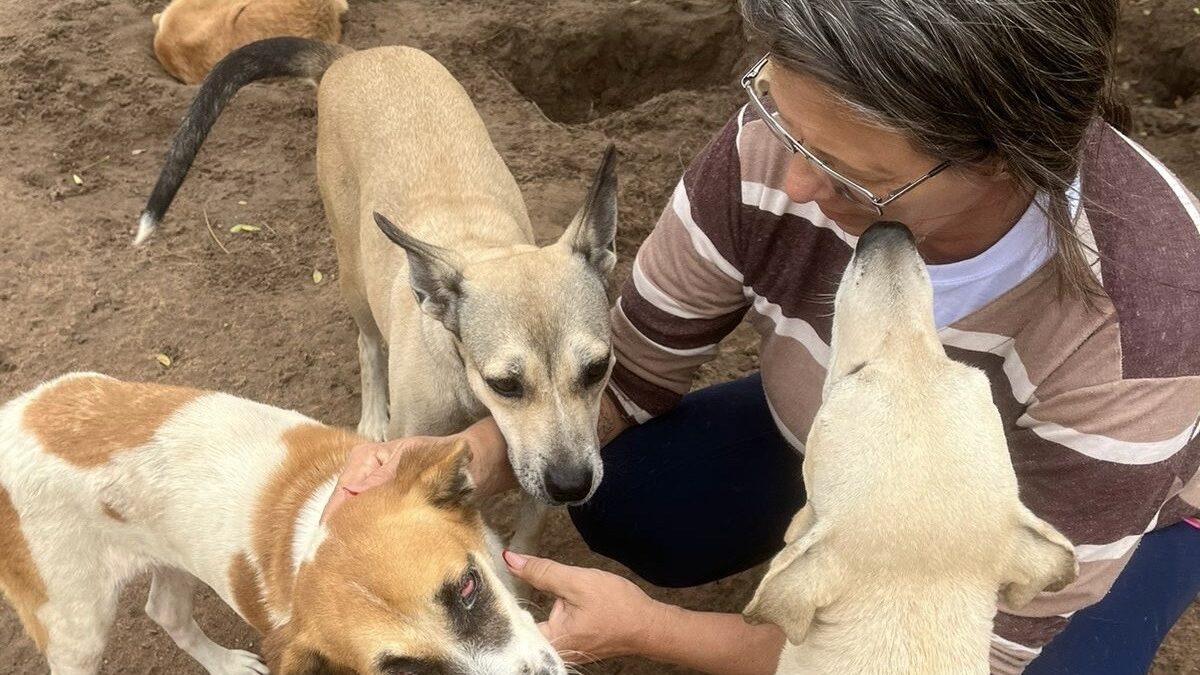 Voluntários de Proteção Animal declaram apoio a Danny Epaminondas