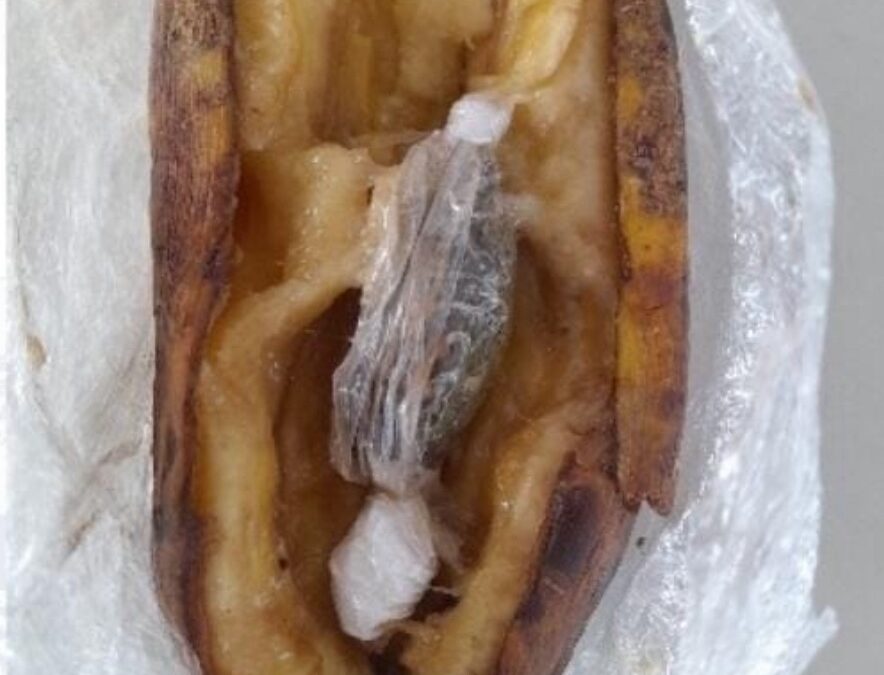 Policiais encontram droga dentro de banana entregue a detento na Cadeia Pública de Serra Talhada