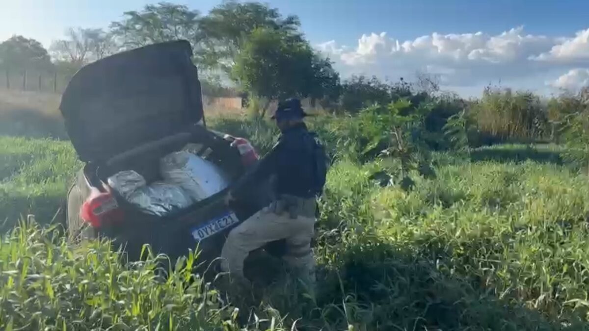 Após fuga e colisão com cerca, PRF apreende supermaconha em Arcoverde