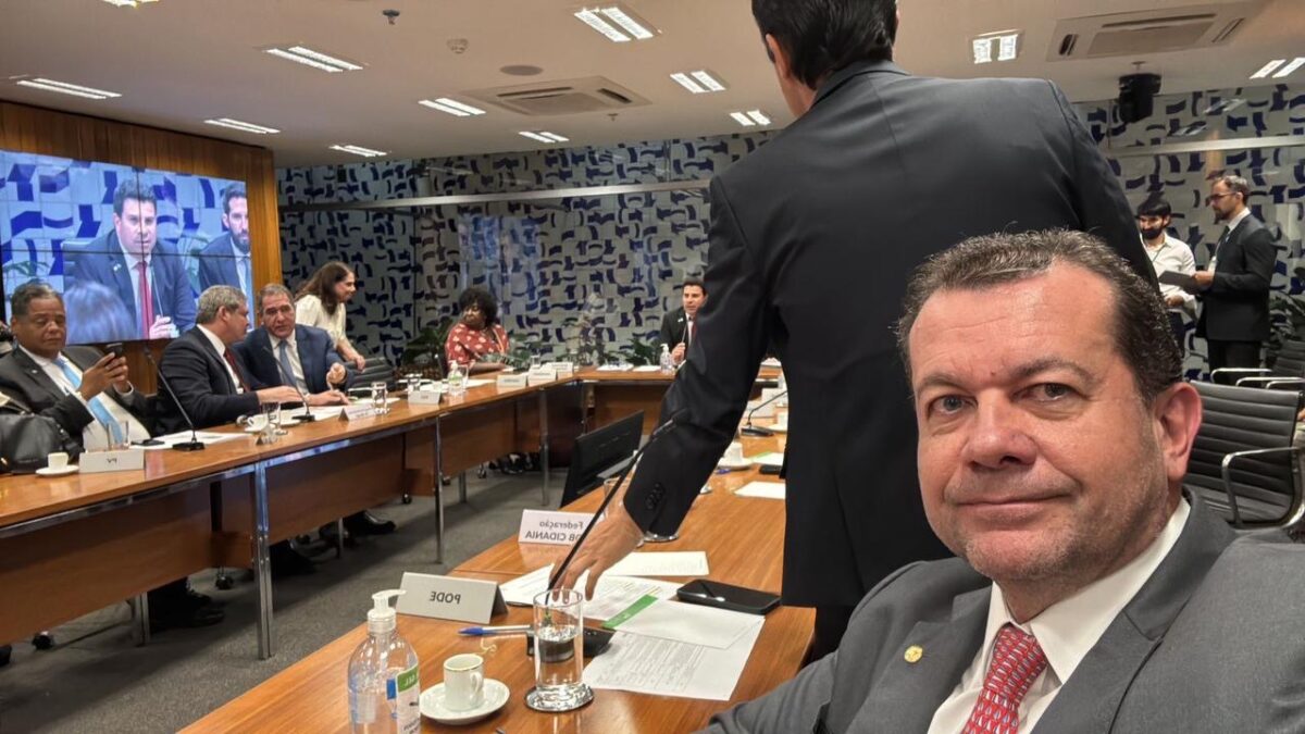 Waldemar Vai da Comissão Representativa para o Plenário da Câmara